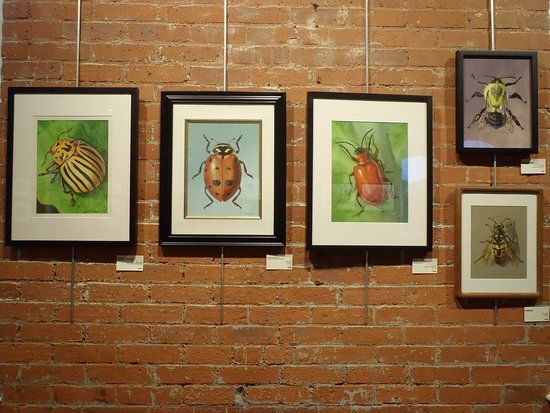 Warwick Museum of Art